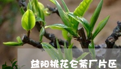 益阳桃花仑茶厂片区/2023032093048