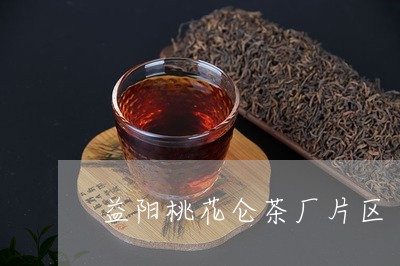 益阳桃花仑茶厂片区/2023041617130