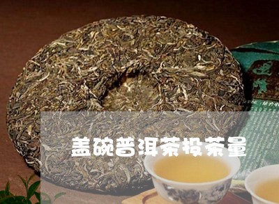 盖碗普洱茶投茶量/2023041198494