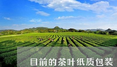 目前的茶叶纸质包装/2023032260724