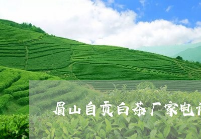 眉山自贡白茶厂家电话号码/2023041653849