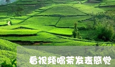 看视频喝茶发表感觉/2023032078370