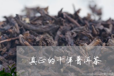 真正的十年普洱茶/2023033095048