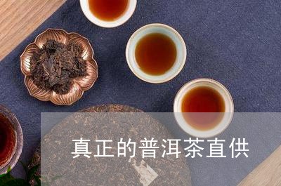 真正的普洱茶直供/2023031770393