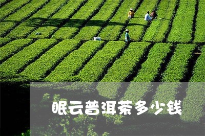 眠云普洱茶多少钱/2023033024030