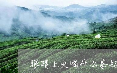 眼睛上火喝什么茶好/2023032049594