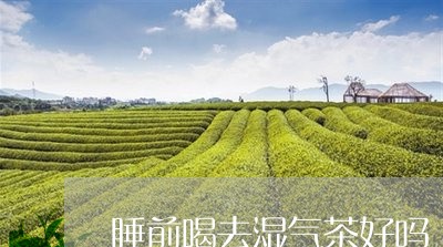 睡前喝去湿气茶好吗/2023031815057