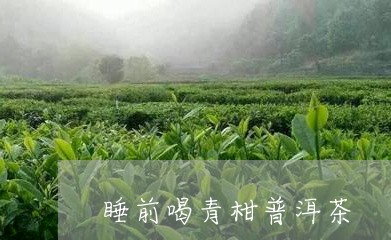 睡前喝青柑普洱茶/2023032965283