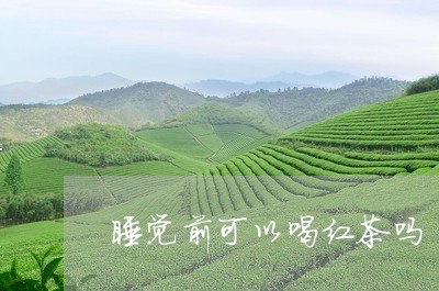 睡觉前可以喝红茶吗/2023031937159