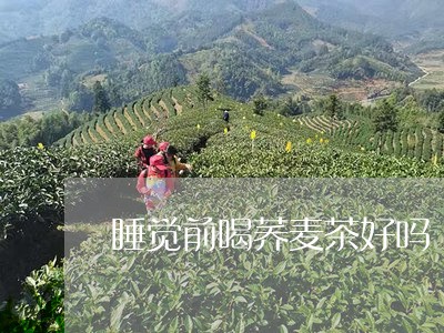 睡觉前喝荞麦茶好吗/2023041496350