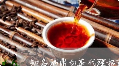 知名福鼎白茶代理招商平台/2023041517372