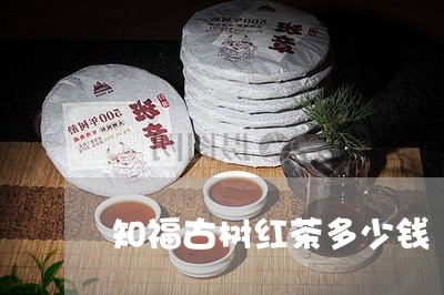 知福古树红茶多少钱/2023032138461