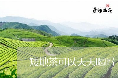 矮地茶可以天天喝吗/2023041485036