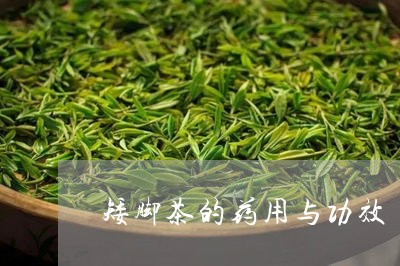 矮脚茶的药用与功效/2023032162724