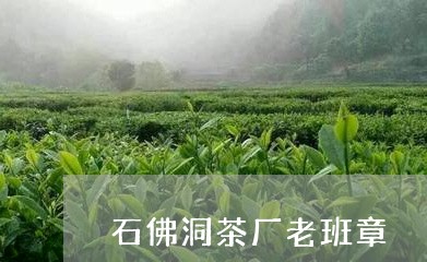 石佛洞茶厂老班章/2023032863726