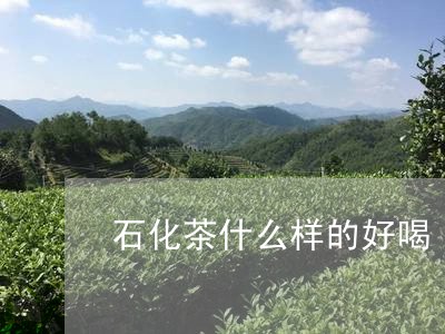 石化茶什么样的好喝/2023031930271