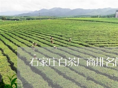 石家庄白茶厂商排名前十名/2023041573835