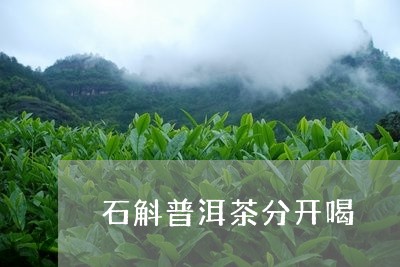 石斛普洱茶分开喝/2023031715368