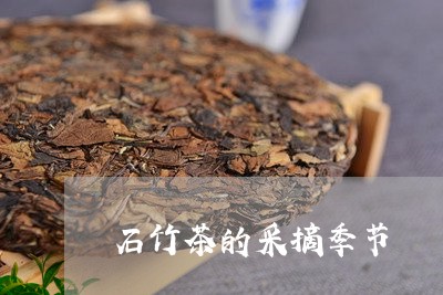 石竹茶的采摘季节/2023032465047