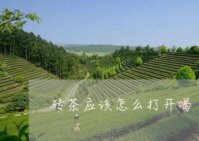 砖茶应该怎么打开喝/2023041504949