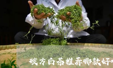 破方白茶推荐哪款好喝一点/2023041693714