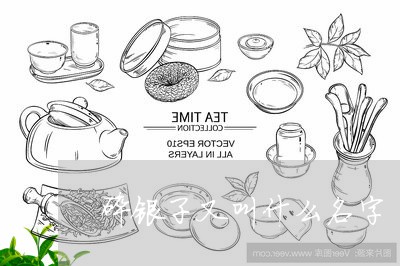 碎银子又叫什么名字/2023032015159