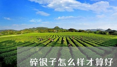 碎银子怎么样才算好/2023041671704