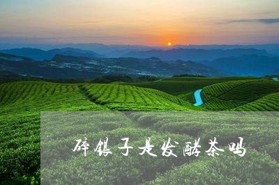 碎银子是发酵茶吗/2023032459814