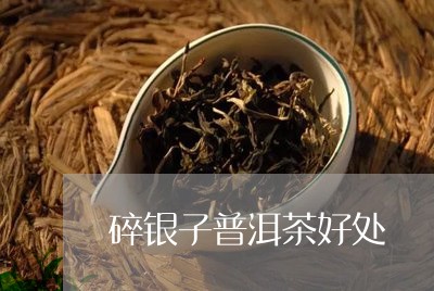 碎银子普洱茶好处/2023031711695