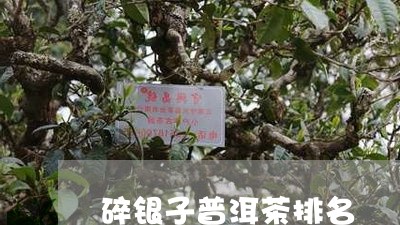 碎银子普洱茶排名/2023041353938