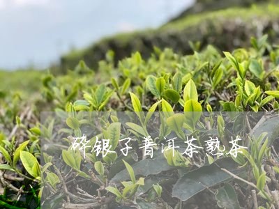 碎银子普洱茶熟茶/2023041118713