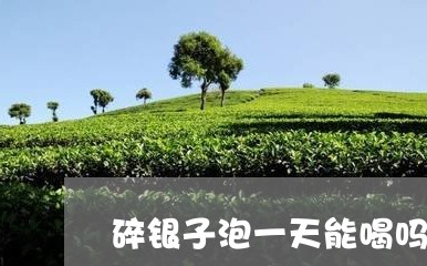 碎银子泡一天能喝吗/2023041671704