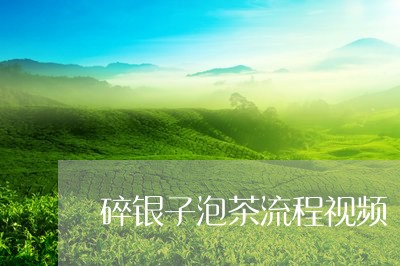 碎银子泡茶流程视频/2023032070582