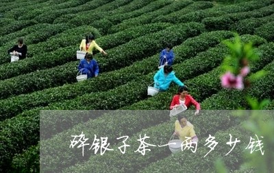 碎银子茶一两多少钱/2023041620603