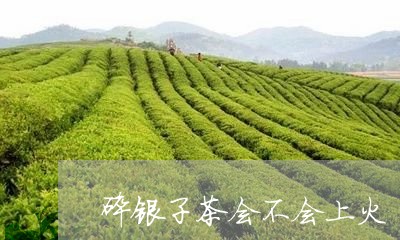 碎银子茶会不会上火/2023041636591