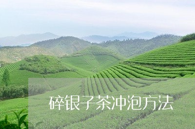 碎银子茶冲泡方法/2023032438481