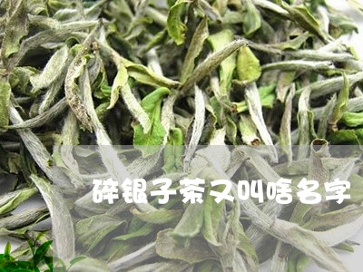 碎银子茶又叫啥名字/2023041686294