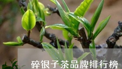 碎银子茶品牌排行榜/2023041623936