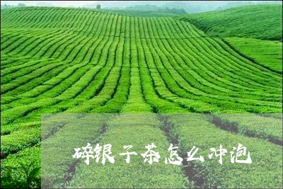 碎银子茶怎么冲泡/2023032467271