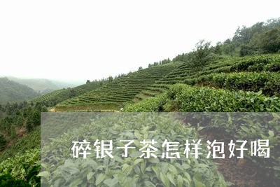 碎银子茶怎样泡好喝/2023032016271