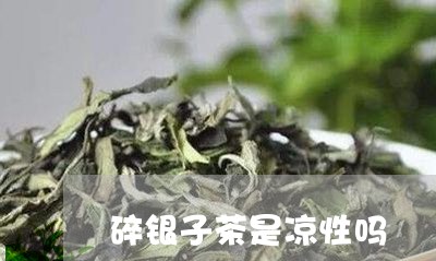 碎银子茶是凉性吗/2023032520492