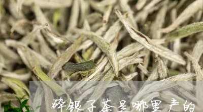 碎银子茶是哪里产的/2023041618262