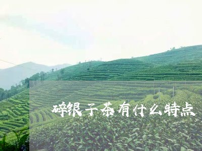 碎银子茶有什么特点/2023041612707