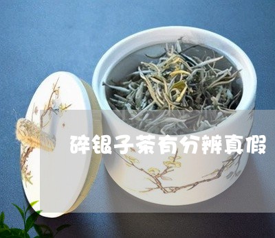 碎银子茶有分辨真假/2023032057361