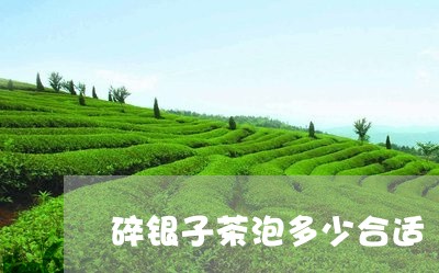 碎银子茶泡多少合适/2023041615132