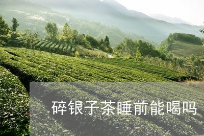 碎银子茶睡前能喝吗/2023032043825