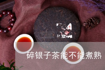 碎银子茶能不能煮熟/2023041627280