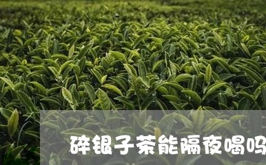 碎银子茶能隔夜喝吗/2023041625349