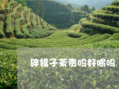 碎银子茶贵吗好喝吗/2023041696150