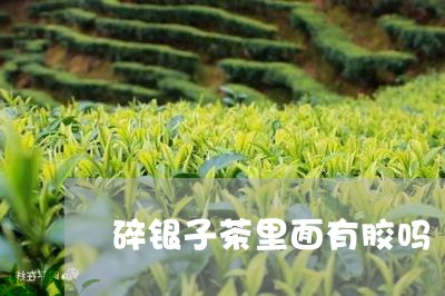 碎银子茶里面有胶吗/2023032023837